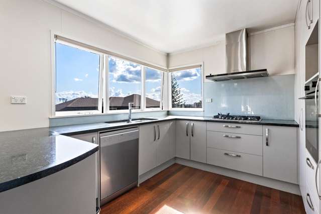 17a Arundel Street Mount Roskill_1