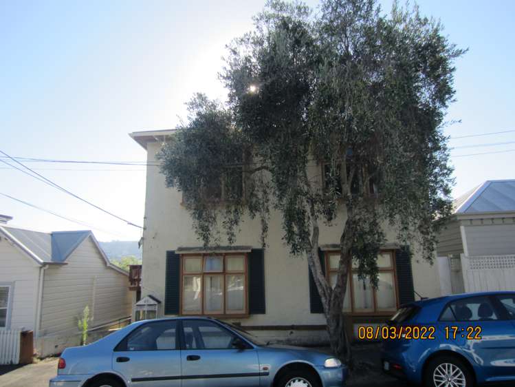 40 Austin Street Mount Victoria_4