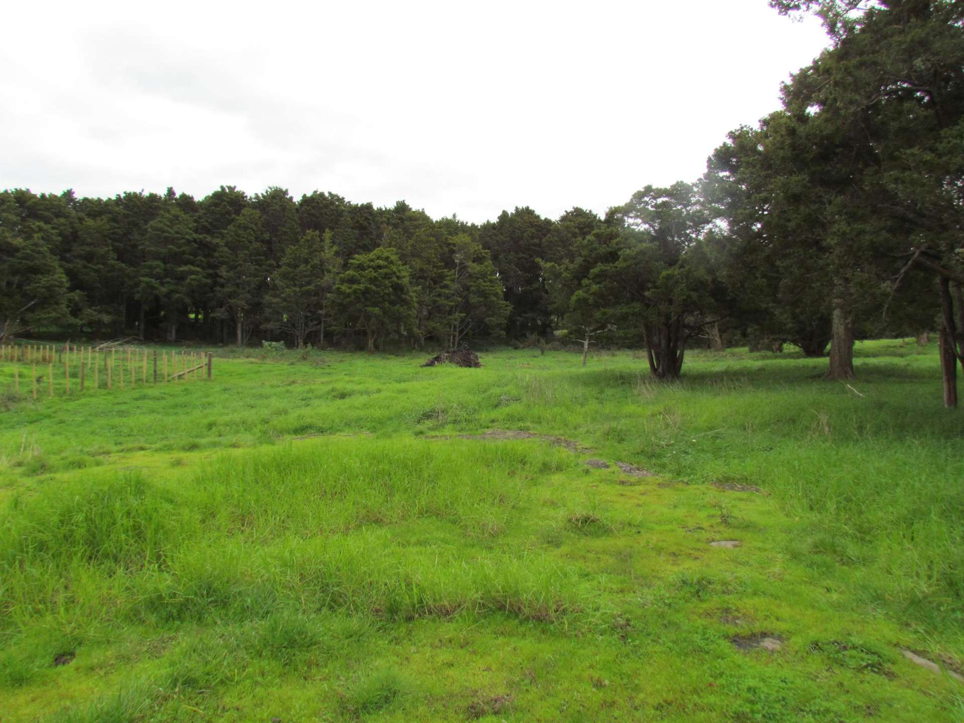 Carruth Road Poroti_0