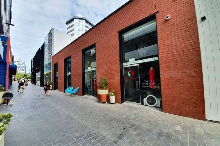 10 Lombard Lane Te Aro_1