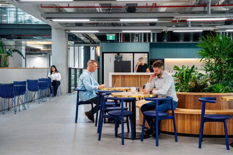 74-78 Taharoto Road Takapuna_16