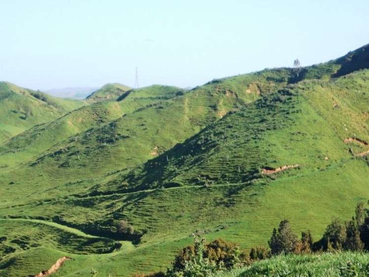 446 Stanley Road Te Popo_47