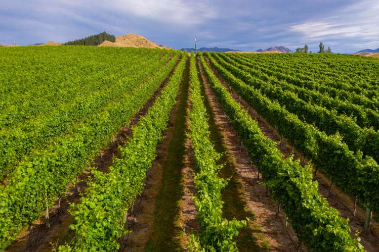 220 Ballochdale Road Awatere Valley_9