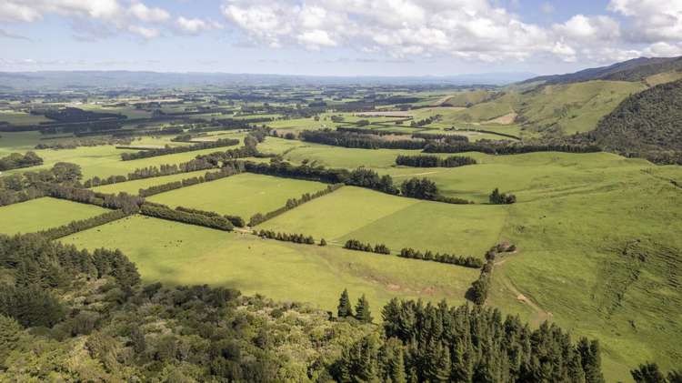 189 Thorburn Road Dannevirke_16