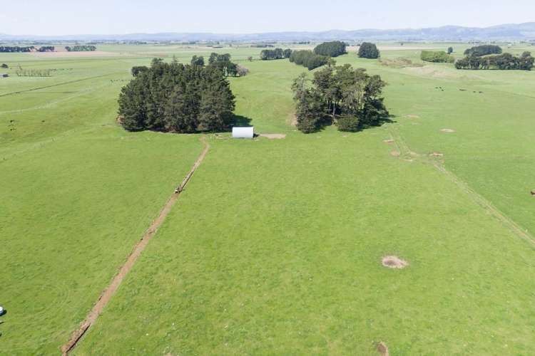 335a Couper Road Glen Oroua_5