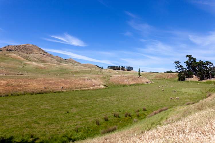 6 Clermont Street Ward_10