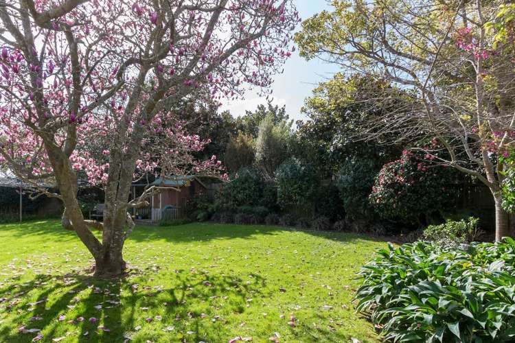 59 Gibraltar Street Howick_8