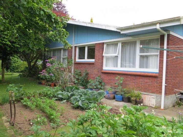 137 Stanley Avenue Te Aroha_19