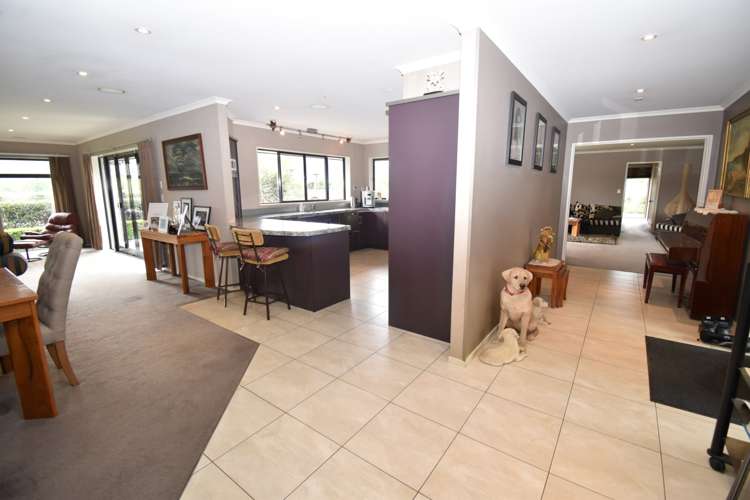 133 Lyons Road Mangatawhiri_13