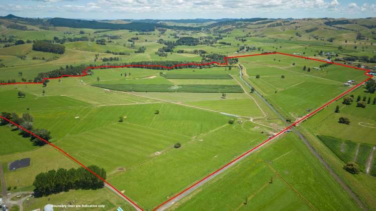 165 and 244 State Highway 25 Waitakaruru_12