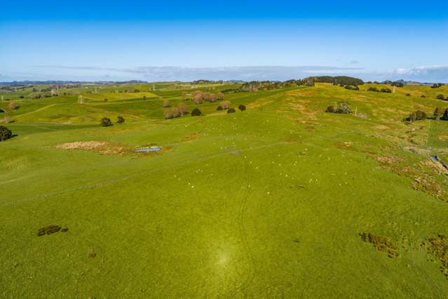 80 Harrison Road Waiotira_1