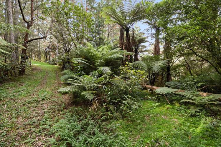 20 McLaren Falls Road Lower Kaimai_3