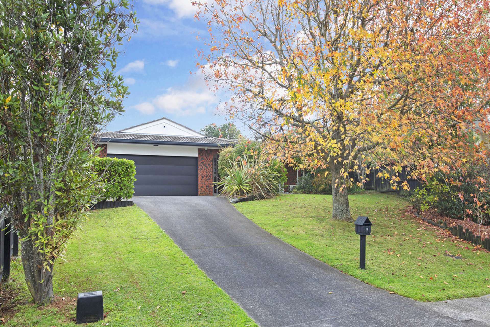 19 Borrowdace Avenue Botany Downs_0