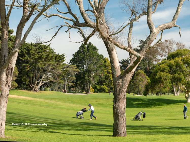 12a Paterson Street Mount Maunganui_19