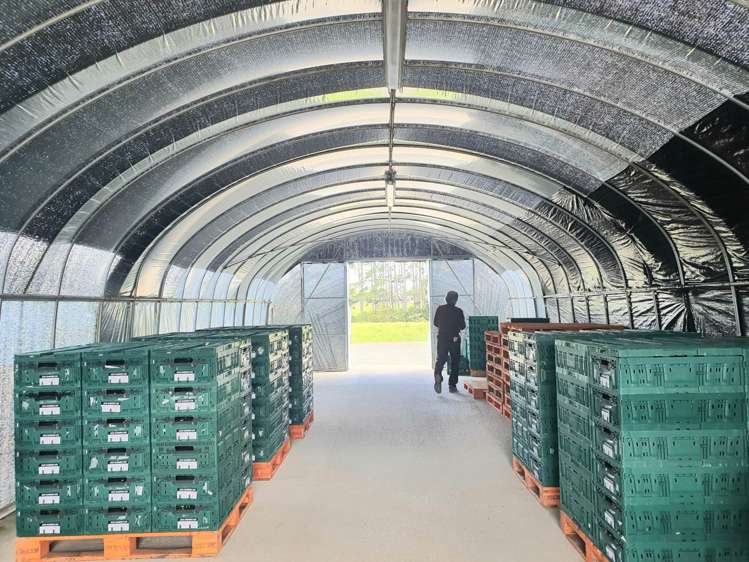 7 Ridge Road Tuakau_15