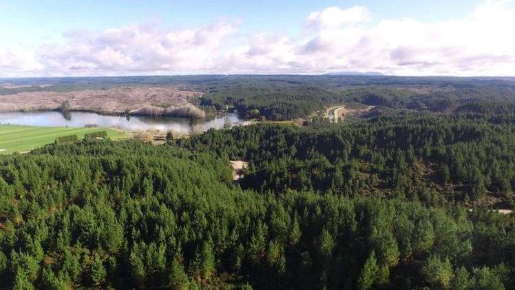 4 Black Road Murupara Surrounds_0