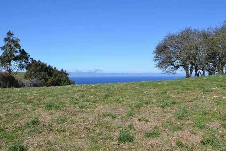 215 Green Island Bush Road Waldronville_4