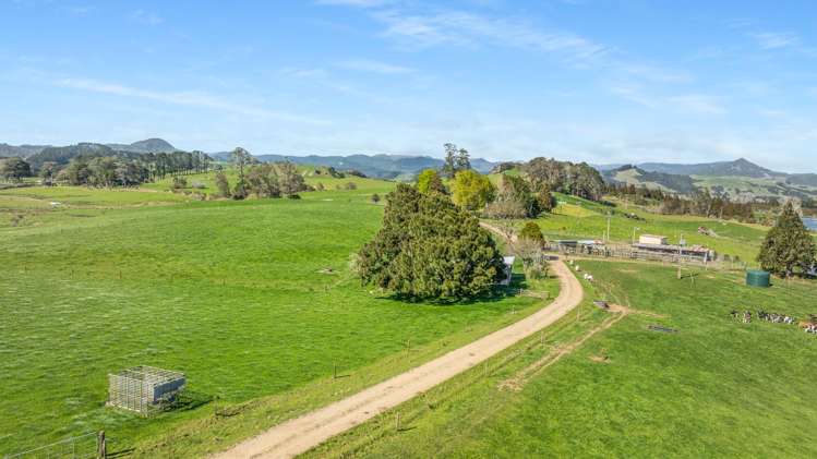 90 Camp Road, Coroglen Tairua_34