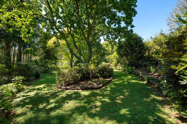 569 Paradise Valley Road Ngongotaha Valley_14