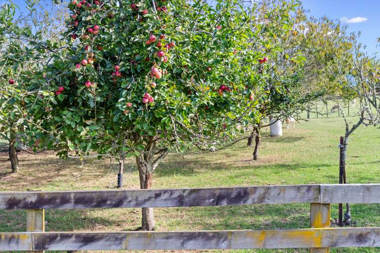 26 Appleton Lane Eureka_17