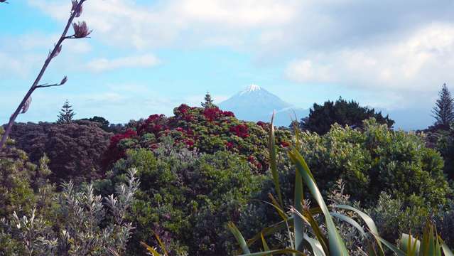 Lot 4 Oceanside Waiwhakaiho_4