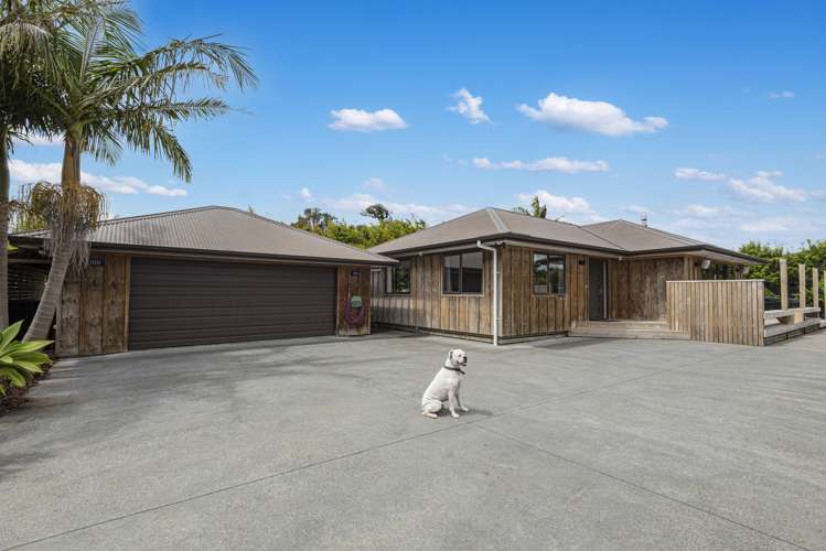 33A Mangakahia Road_0