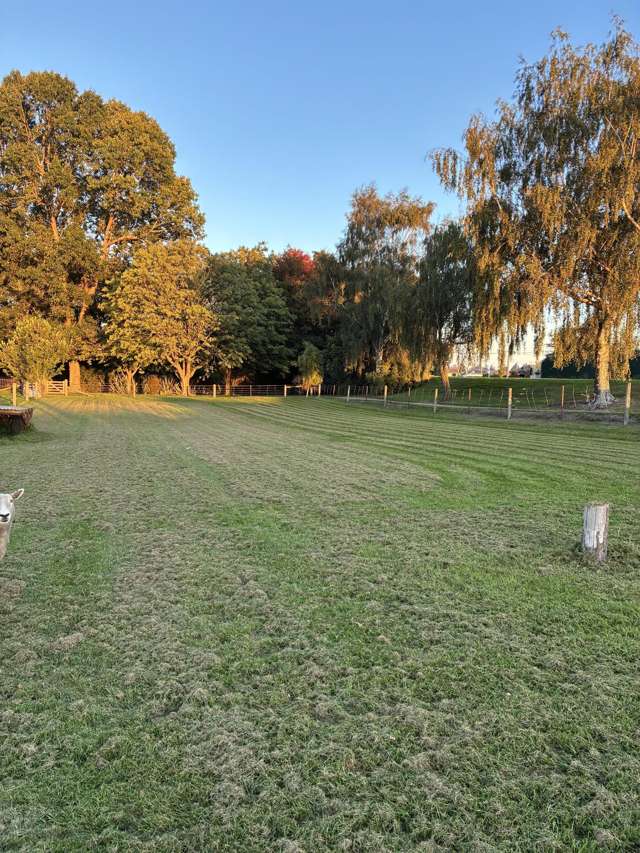 50 Hornbrook Street Temuka_4