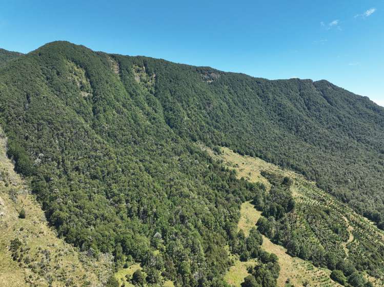 Tutaki Road South Murchison_12