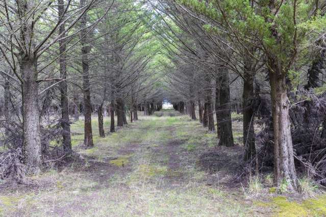 243 Worlingham Road Eyrewell Forest_1