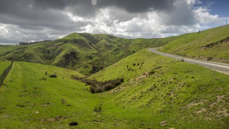 631 Otahome Road Whareama_12