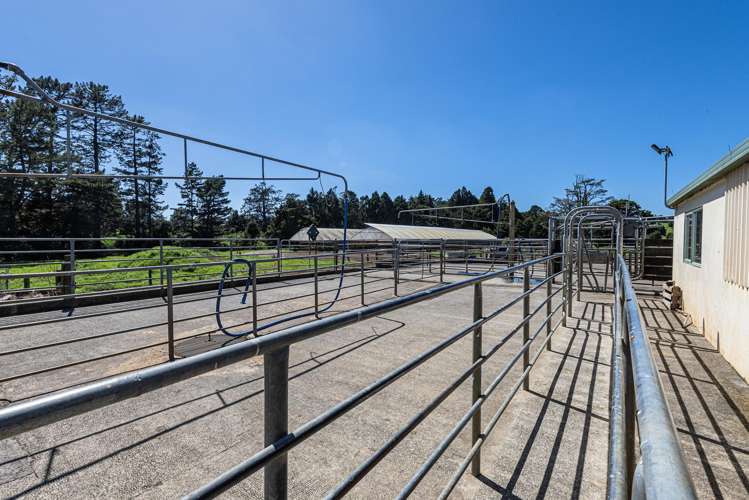 731 Puhipuhi Road Whakapara_12