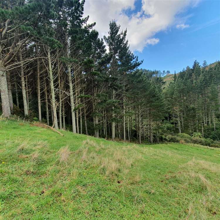 Waitete Road Waihi_11