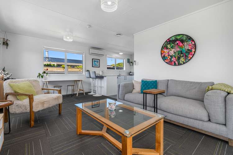 117B Ngatai Road_0