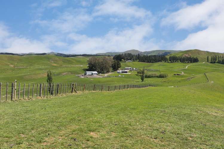 300 Pattison Road Waipukurau_12
