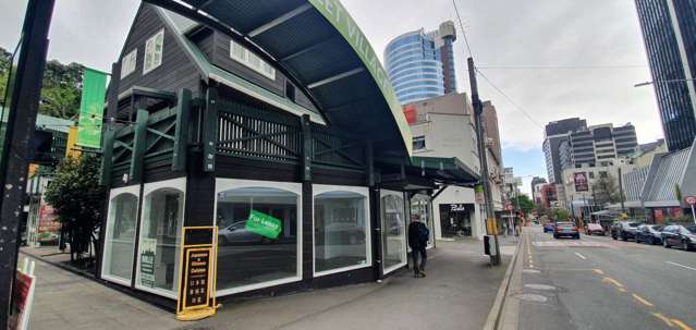 2/148 Willis Street Te Aro_1