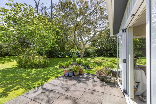 234A Omata Road Spotswood_4