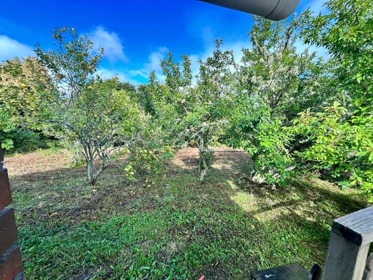 34 Kennedy Road Dairy Flat_7