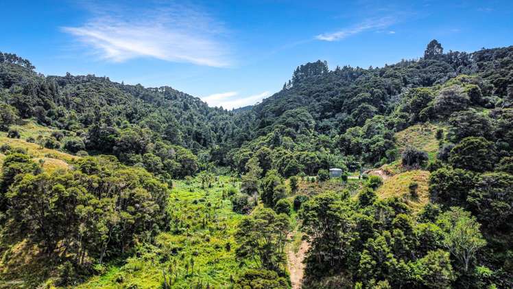 791B White Pine Bush Road Awakeri_10