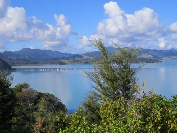 622 Wyuna Bay Road Coromandel_5