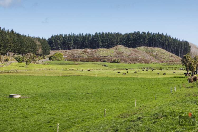 76 Brandon Hall Road Bulls_8