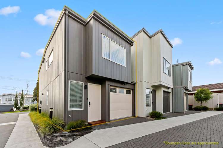 7A New Windsor Road Avondale_12