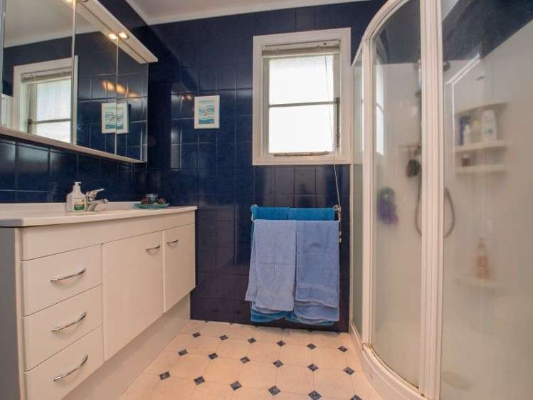 19 Puriri Street Nawton_4