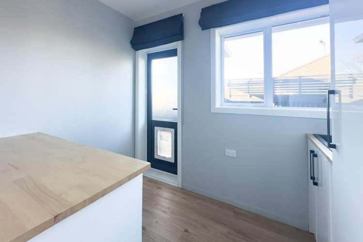 77 Neil Street Hornby_12