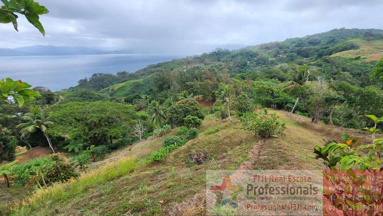 Address withheld Savusavu_23