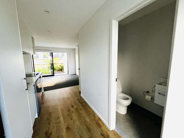 9/3234 Great North Road New Lynn_1