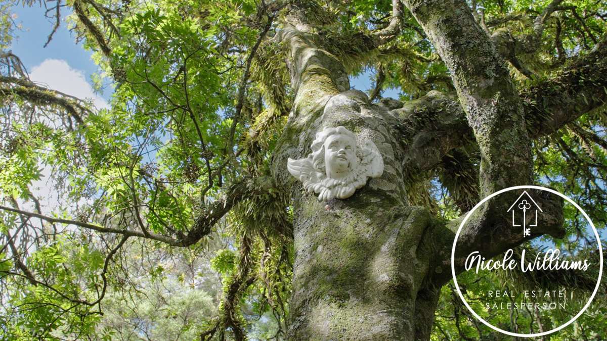 437 Paparoa Station Road_0