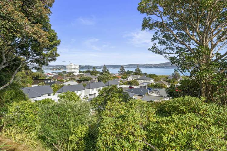 111 Muritai Road Eastbourne_20