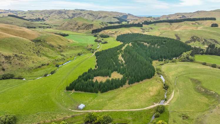 2 Cotswold Road Omihi_9