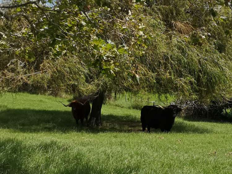 B M Gubb Road Port Albert_17