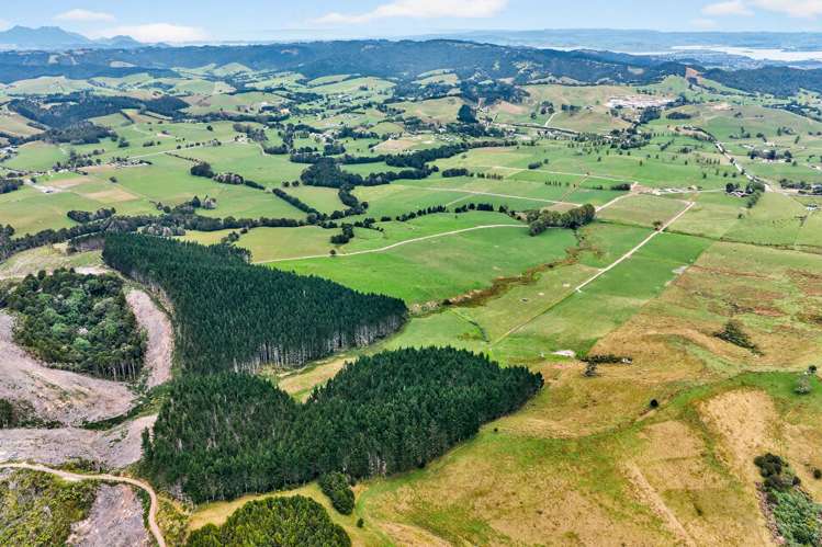 84 Adams Road Whareora_1